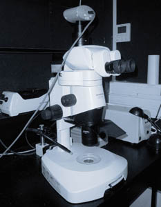 Olympus stereomicroscope