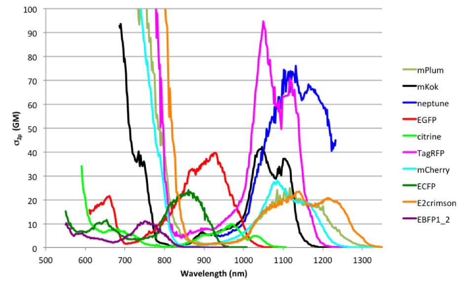 Compiled absorption spectra from drobizhev